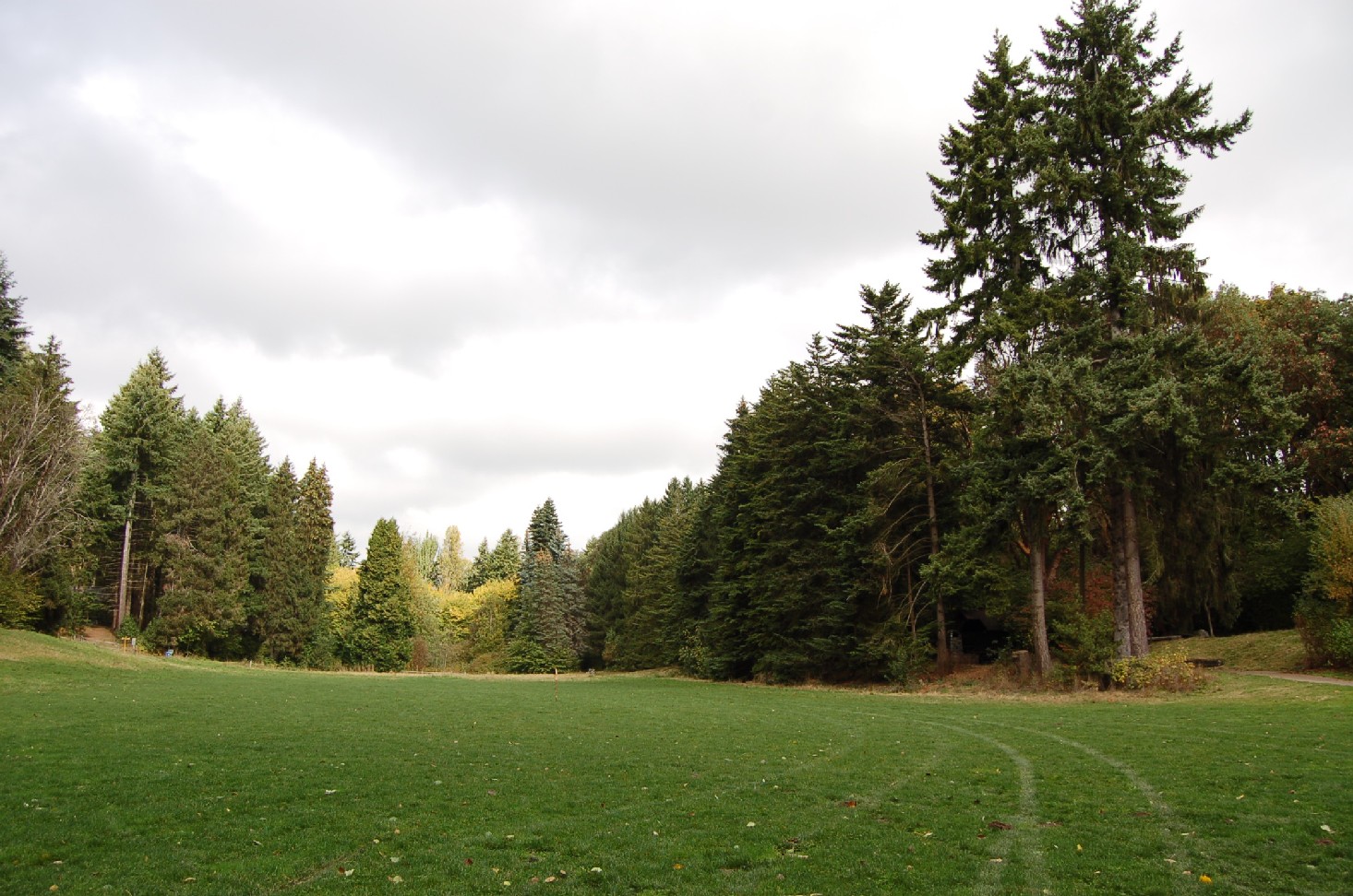 Camp Long field - Photo by Seattle Parks