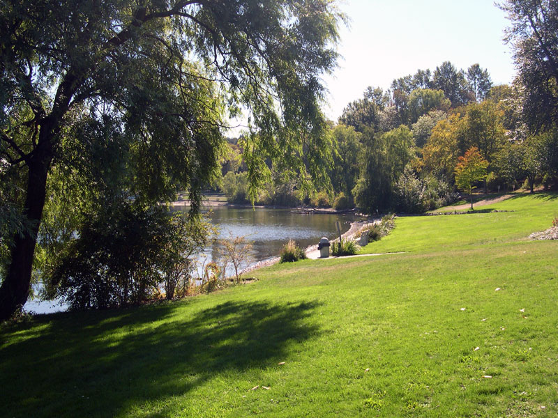 Colman Park lawn