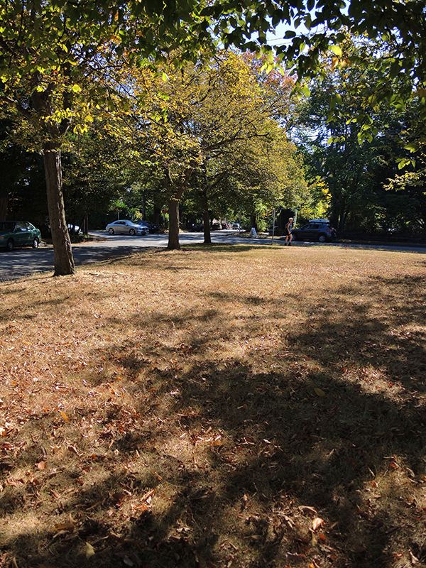 Lawn area of Corliss Place