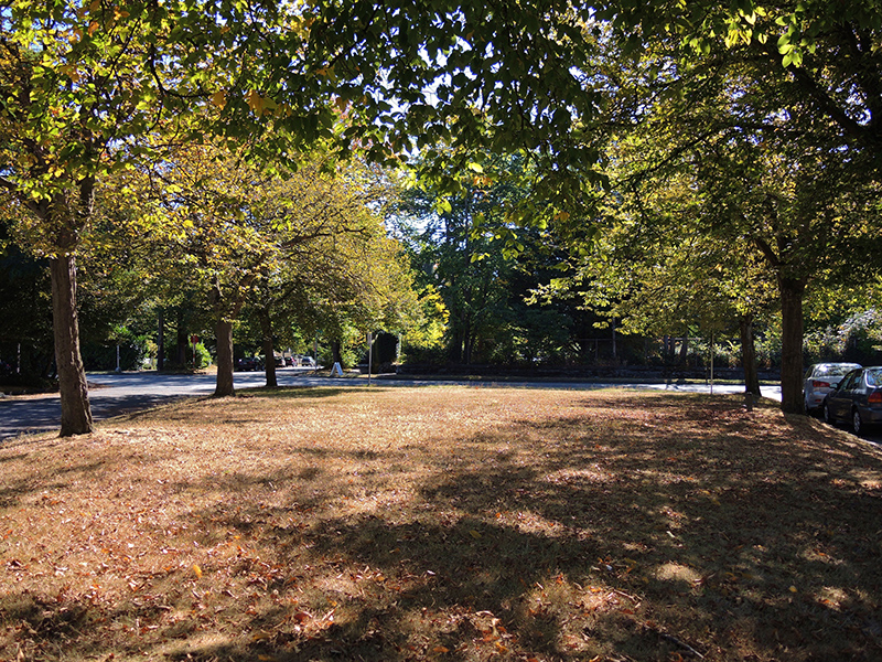 Corliss Place with trees and lawn