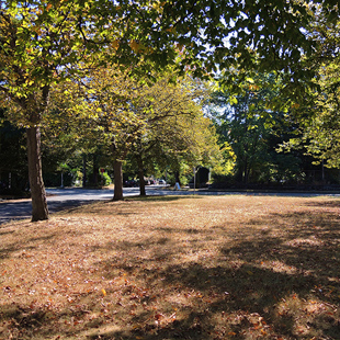 Corliss Place