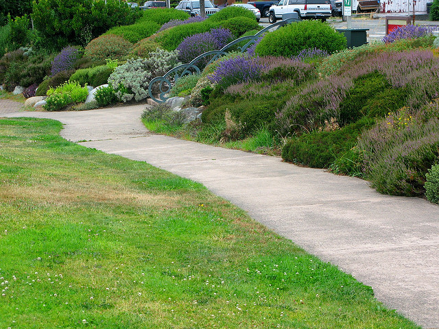 Cormorant Cove landscaping