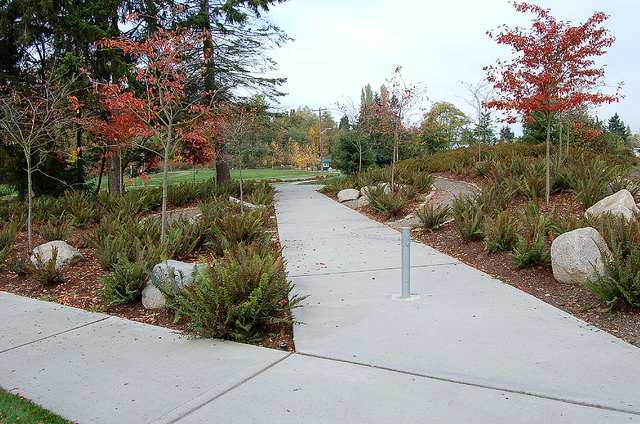 Cottage Grove Park paths