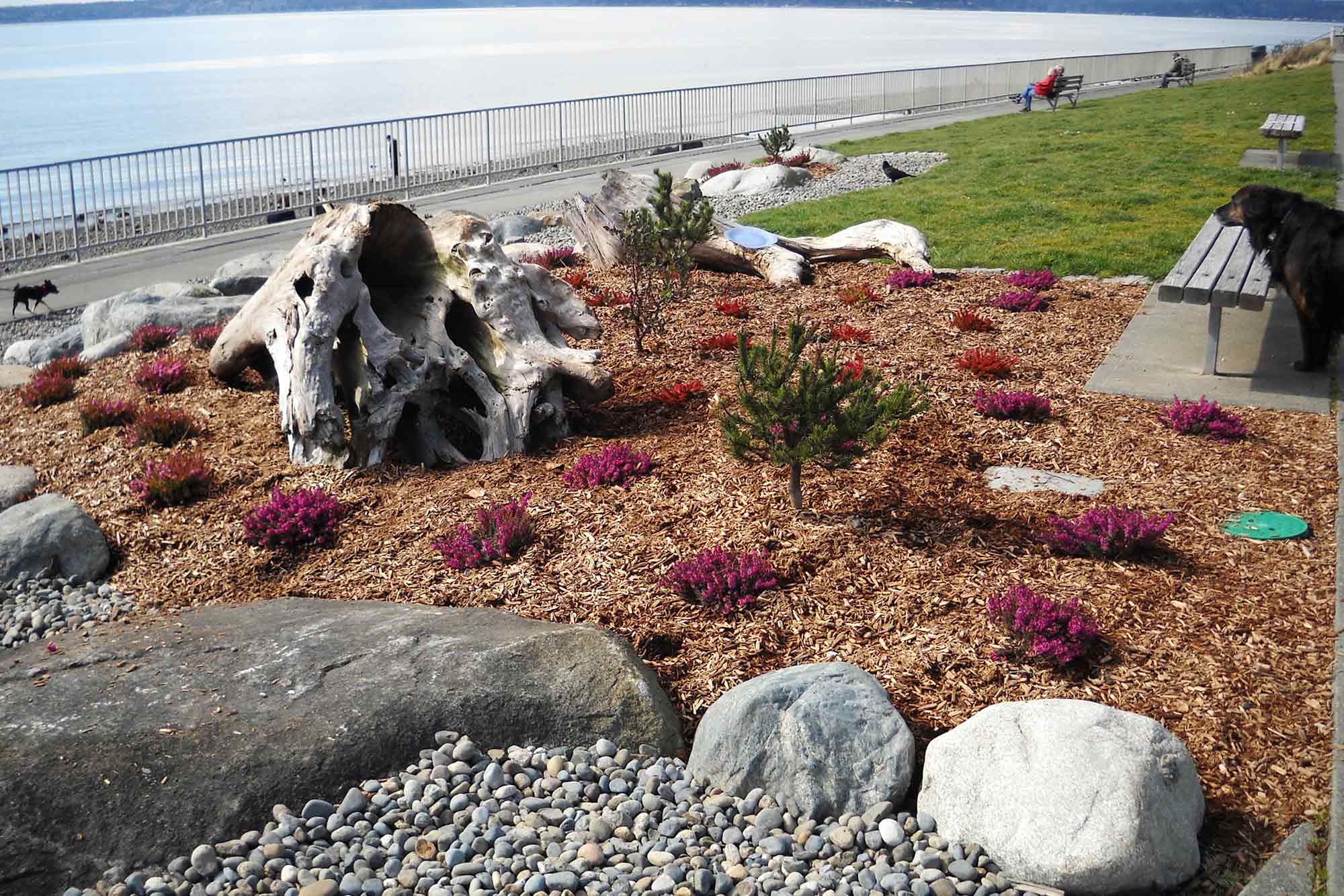 Richey Viewpoint landscaping