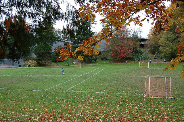 Dearborn Park field