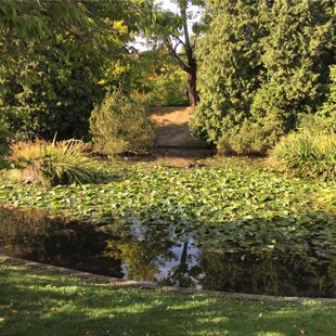 Denny Blaine Lake Park