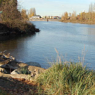 Duwamish Waterway Park