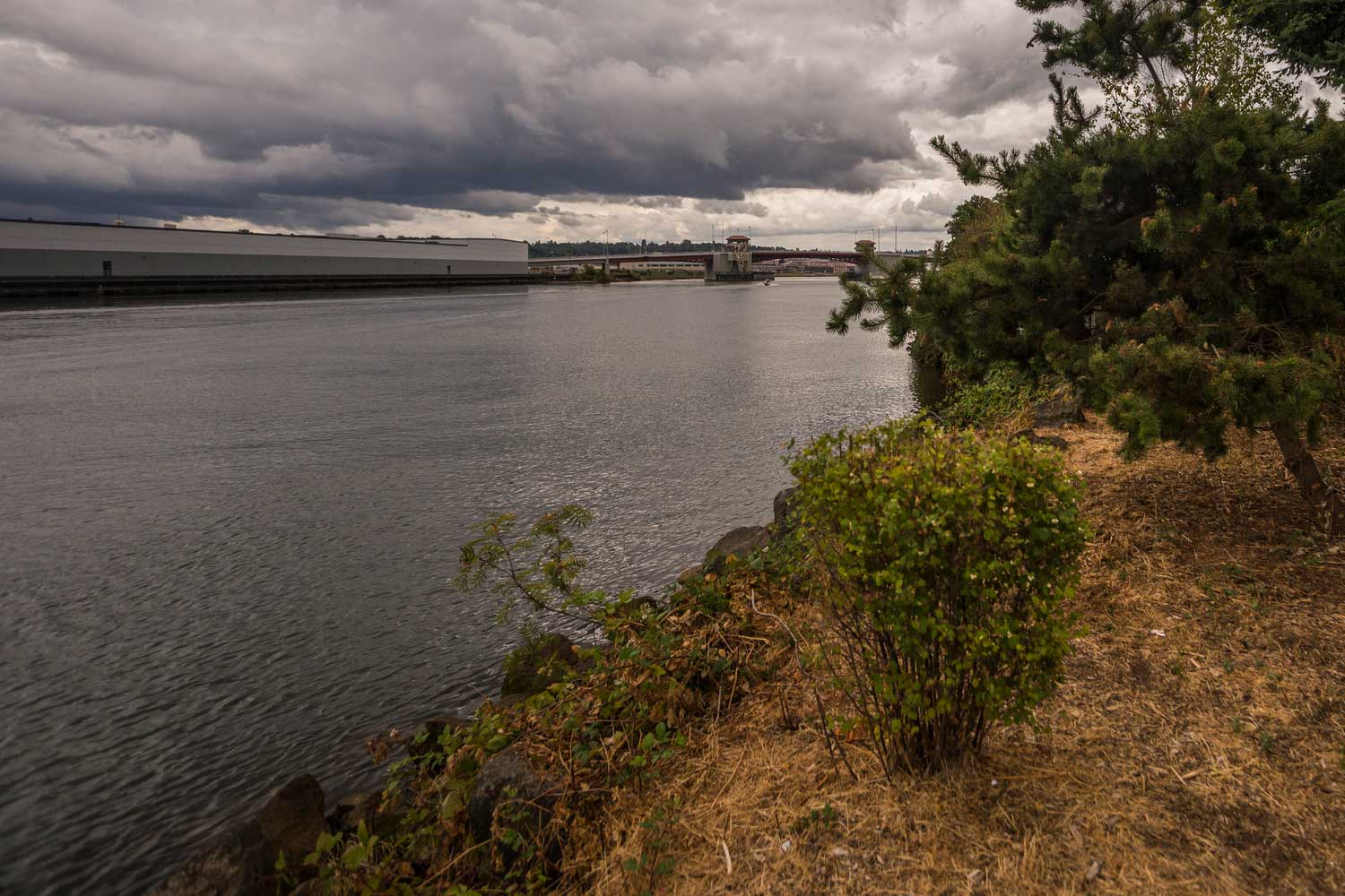 Duwamish Waterway Park - photo by Laurel Mercury