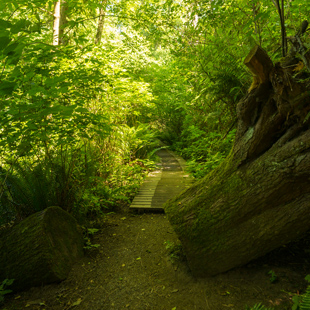 Fauntleroy Park