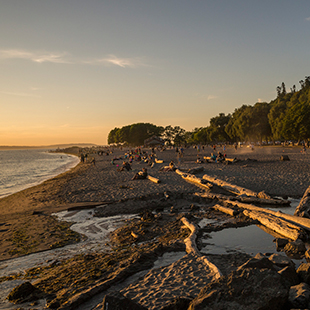 Golden Gardens Park