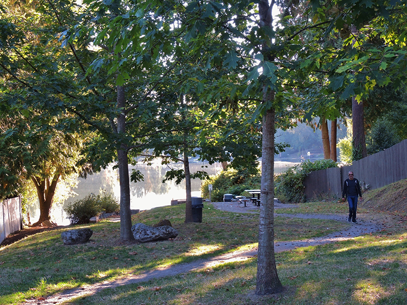 Haller Lake Street End paths