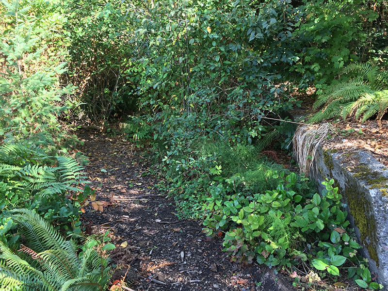 Harrison Ridge Greenbelt path