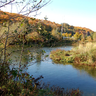 Herring's House Park