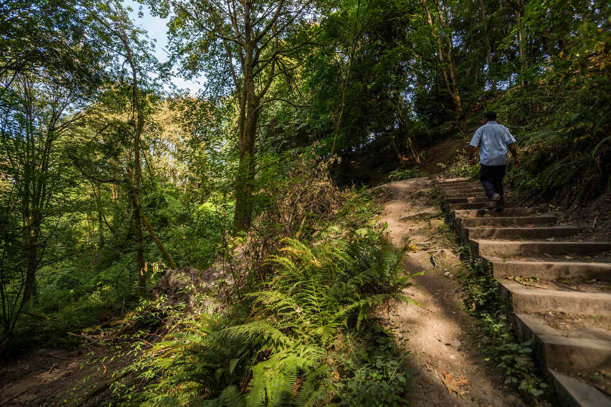 Interlaken Park jogging on path - Photo by TIA International Photography