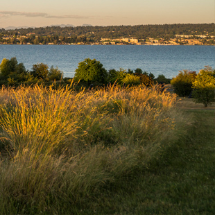 Lake Washington Boulevard