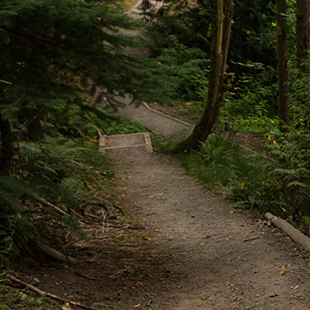 Schmitz Preserve Park