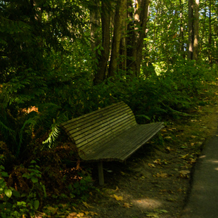 Wolf Creek Ravine Natural Area