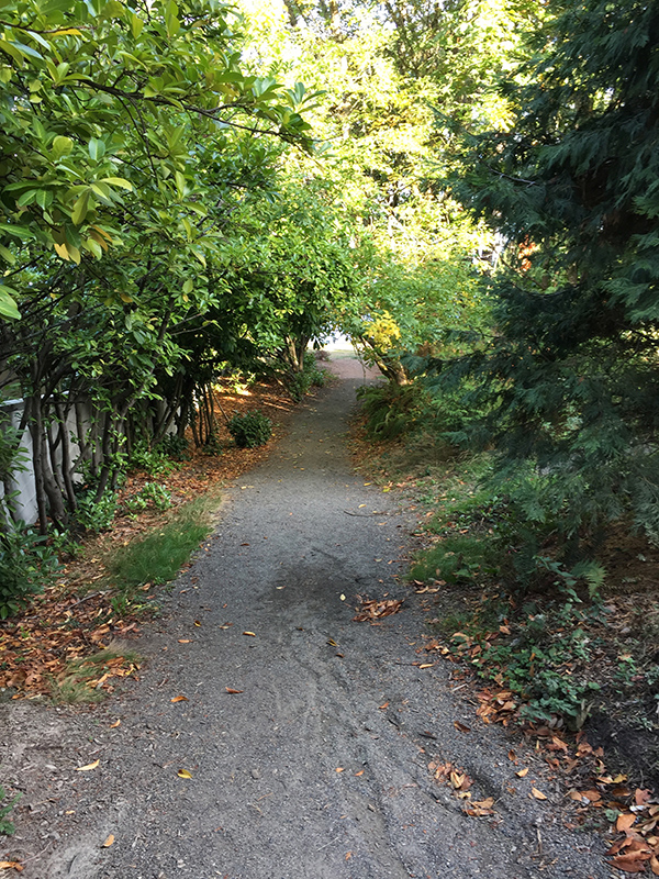 Path to beach