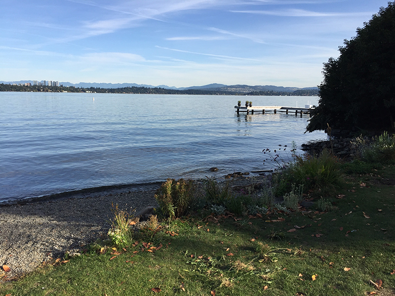 Shoreline access