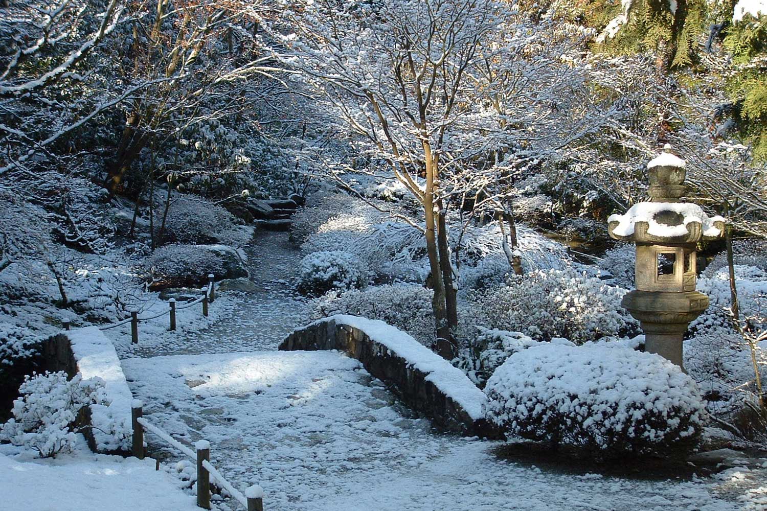 Winter at the Seattle Japanese Garden - photo by David Okrent