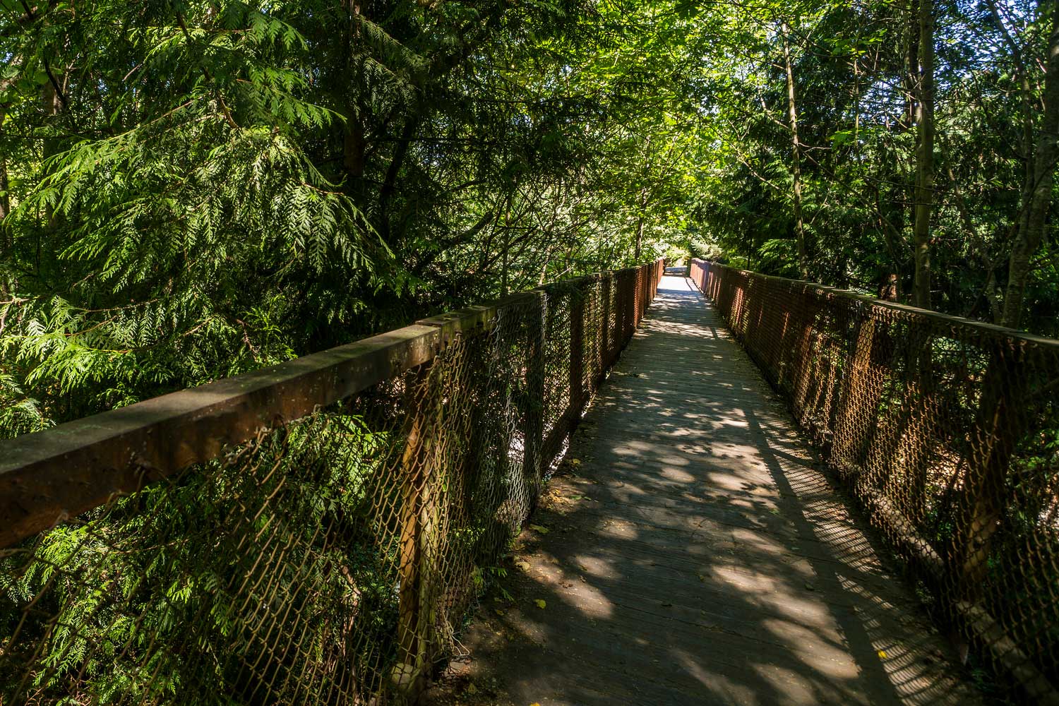 Walkway through Kiwanis Memorial Preserve Park - photo by TIA International Photography