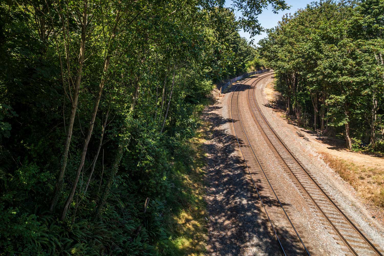 Train tracks near Kiwanis Memorial Preserve Park - photo by TIA International Photography