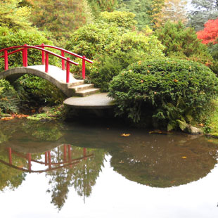 Kubota Garden