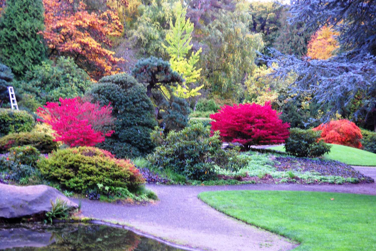 Brightly colored plants - photo by Laurel Mercury