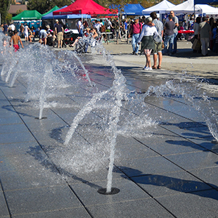 Lake Union Park