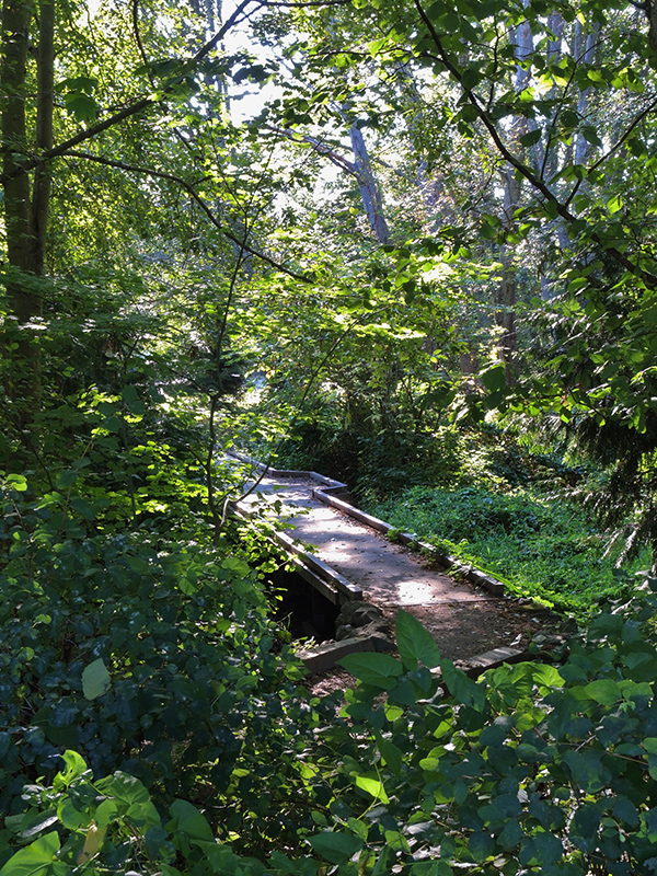 Path and spring 