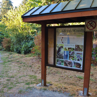 Llandover Woods Greenspace