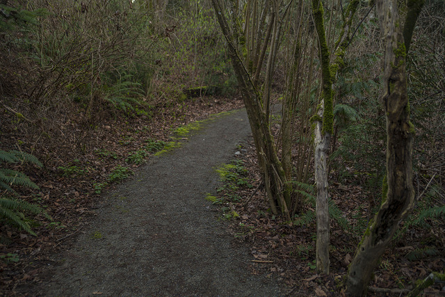 Longfellow Creek Natural Area path through forest