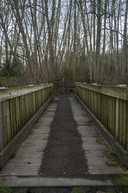 Longfellow Creek Natural Area bridge path 