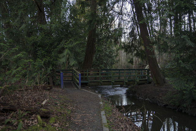 Longfellow Creek Natural Area bridfe over creek