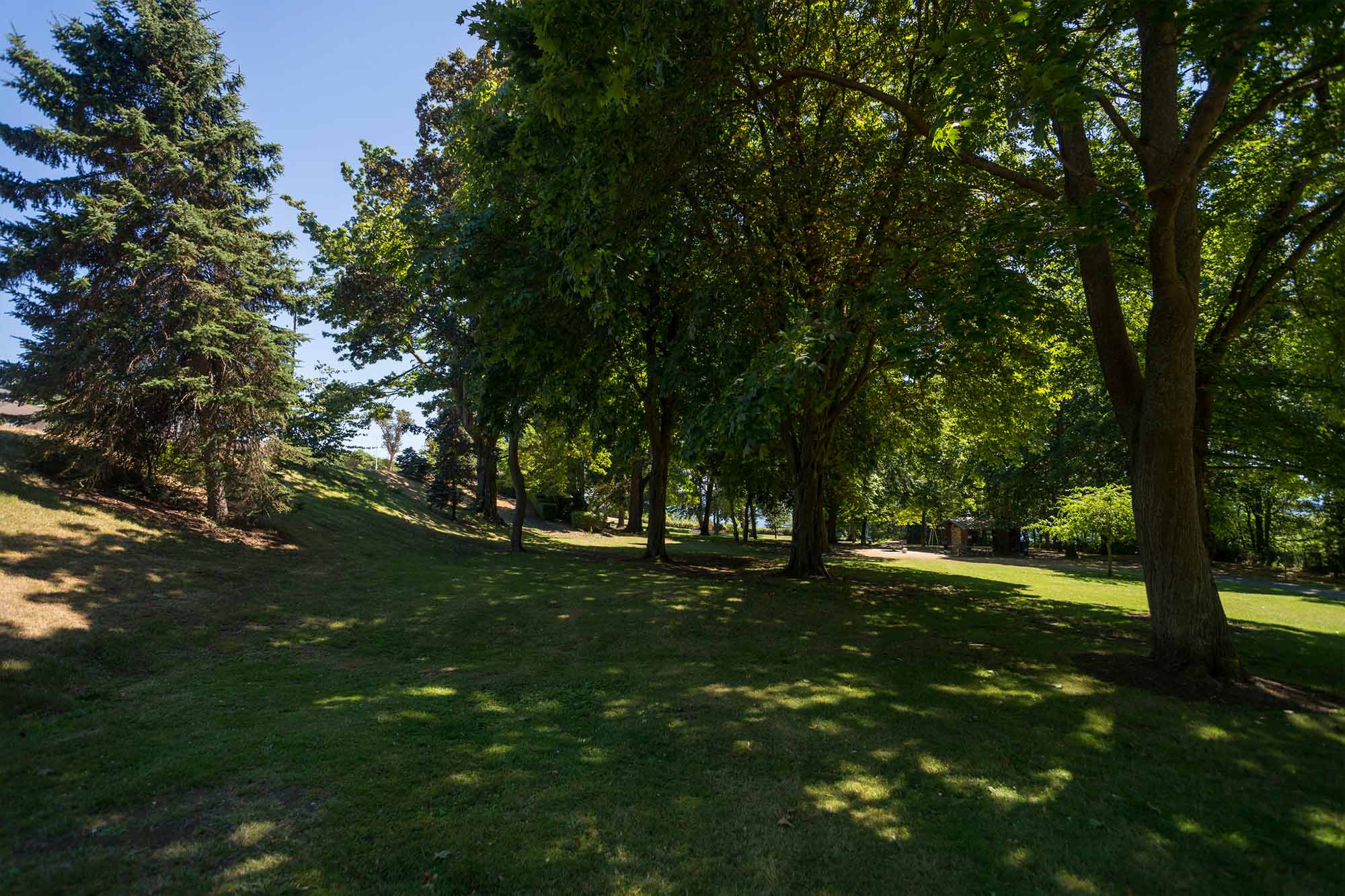 Magnolia Park lawn - Photo by TIA International Photography