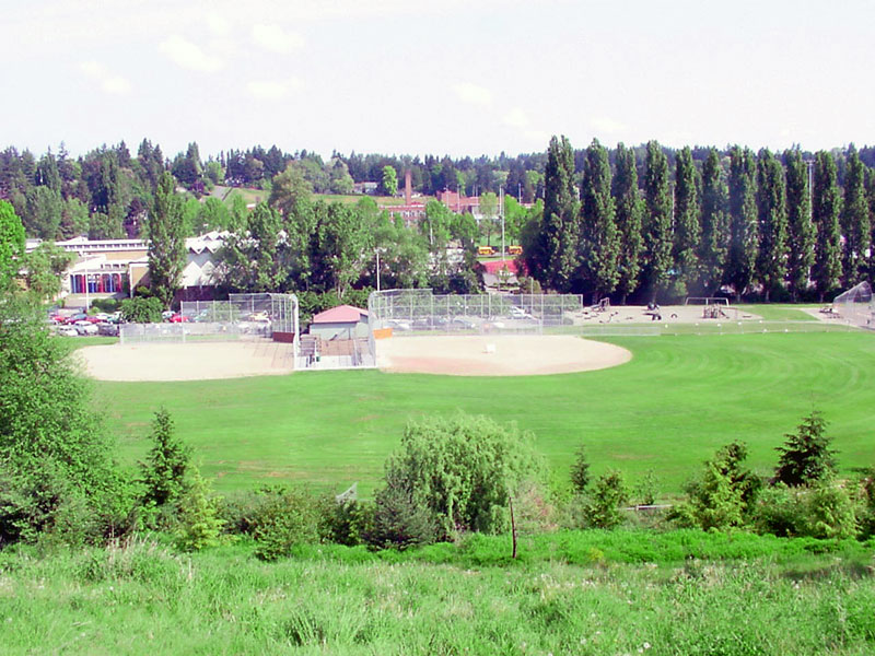 Playfield
