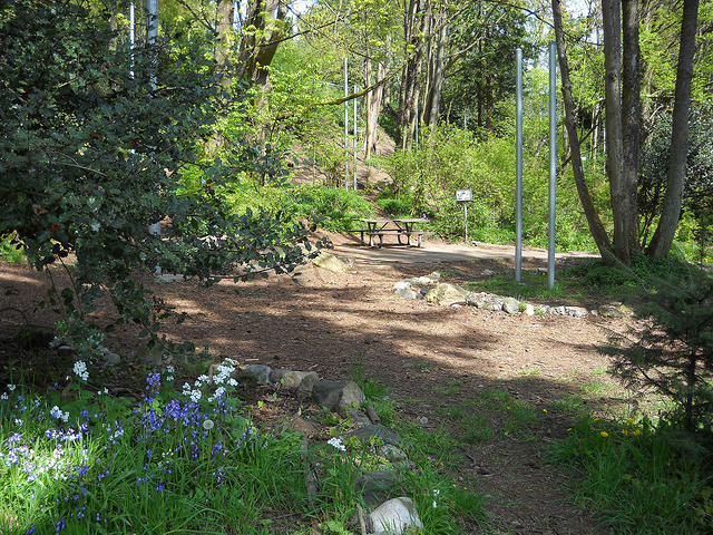 Mineral Springs paths
