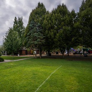 Montlake Playfield