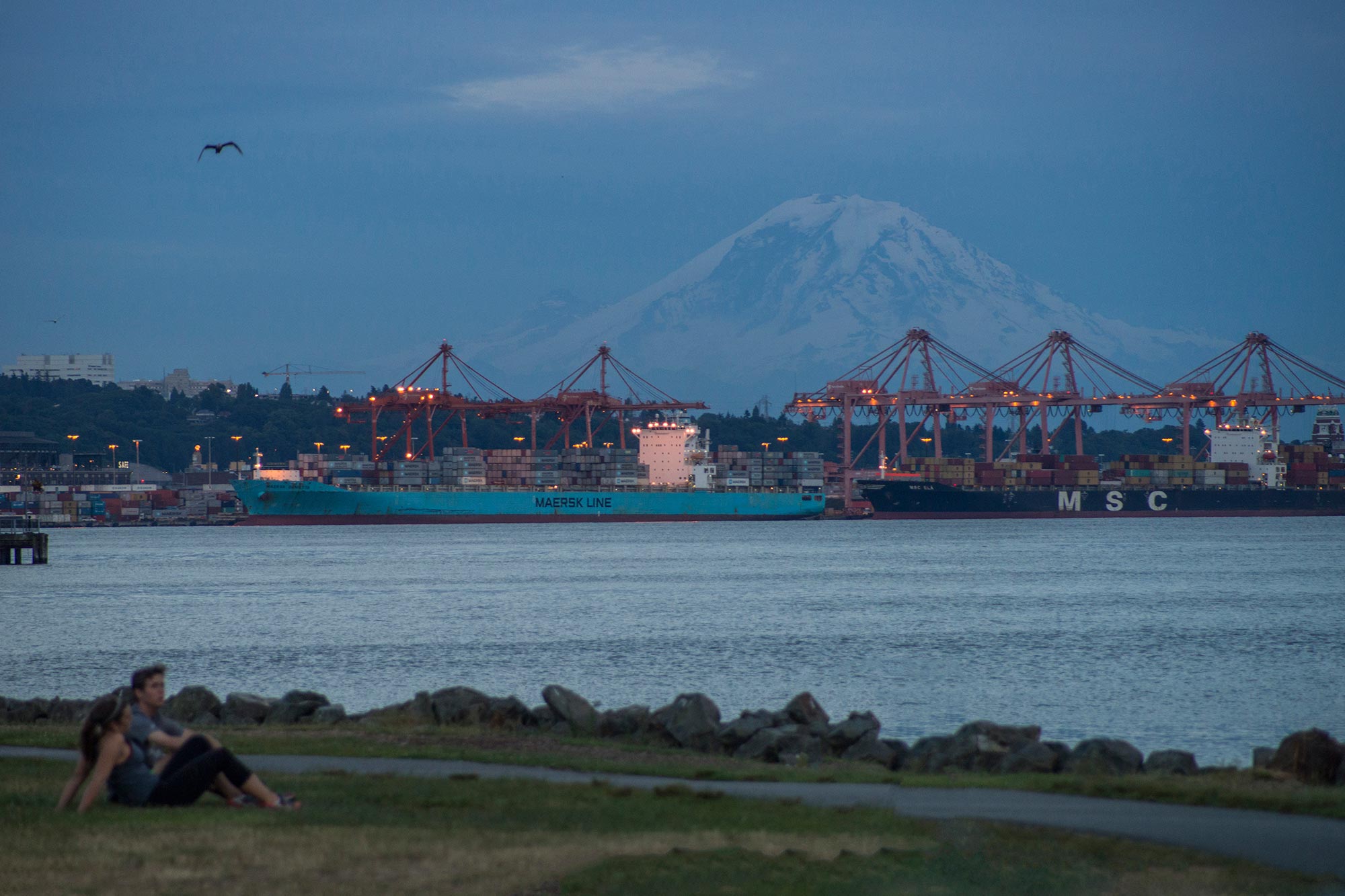 Myrtle Edwards Park view of Rainier