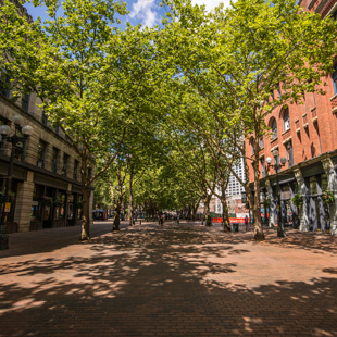 Occidental Square