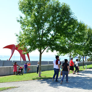 Olympic Sculpture Park