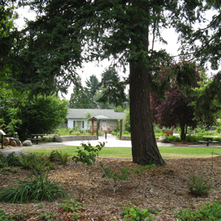 Pinehurst Pocket Park