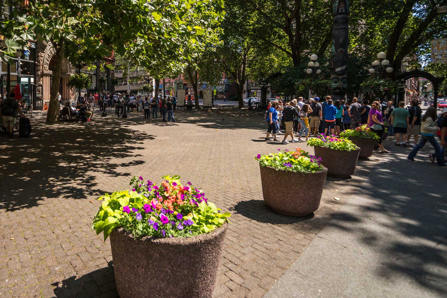 Pioneer Square flowers and paths - photo by TIA International Photography