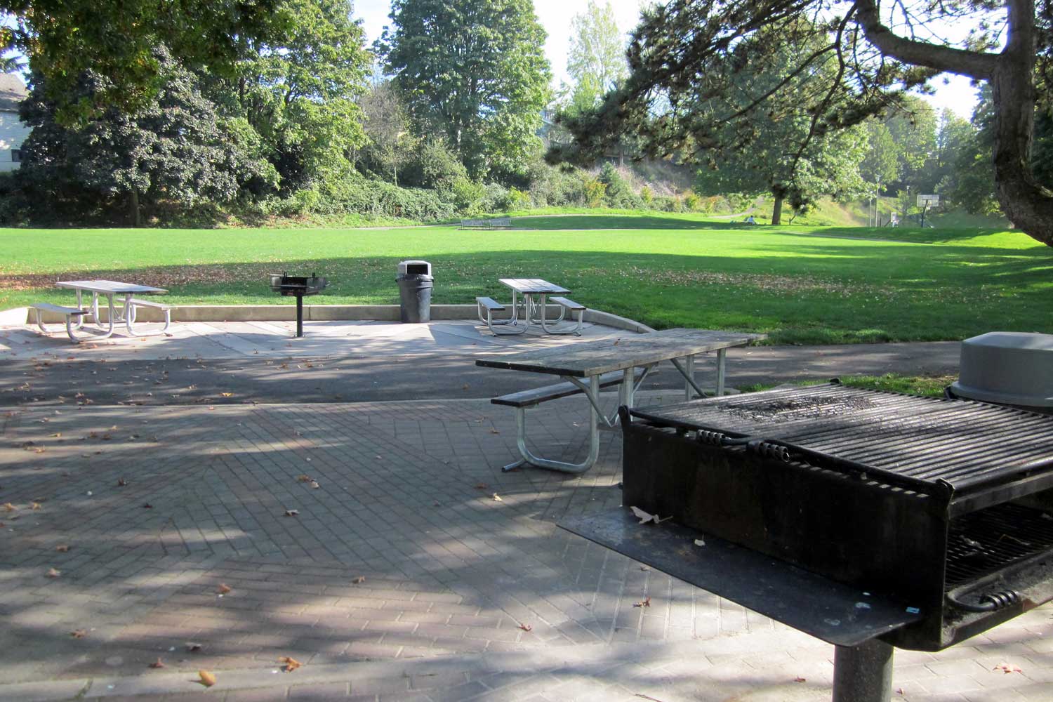Powell Barnett Park picnic area