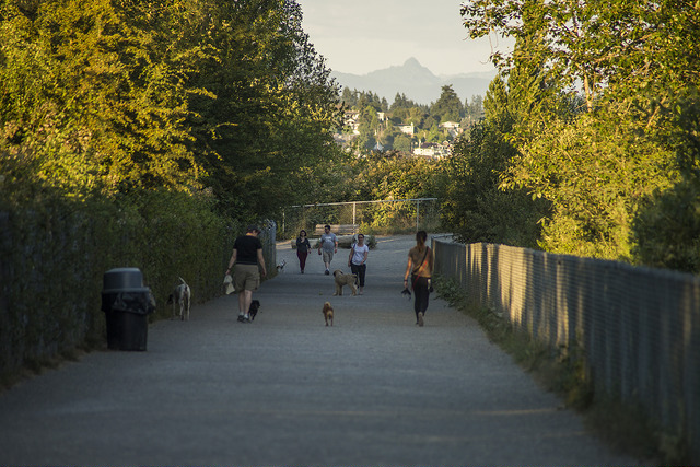 Magnuson Park Off-leash Area