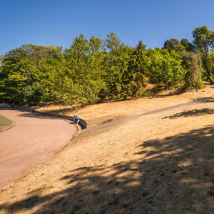 Queen Anne Bowl Playfield