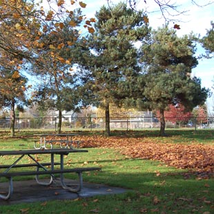 Rainier Beach Playfield