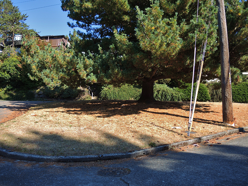 Rainier Place lawn
