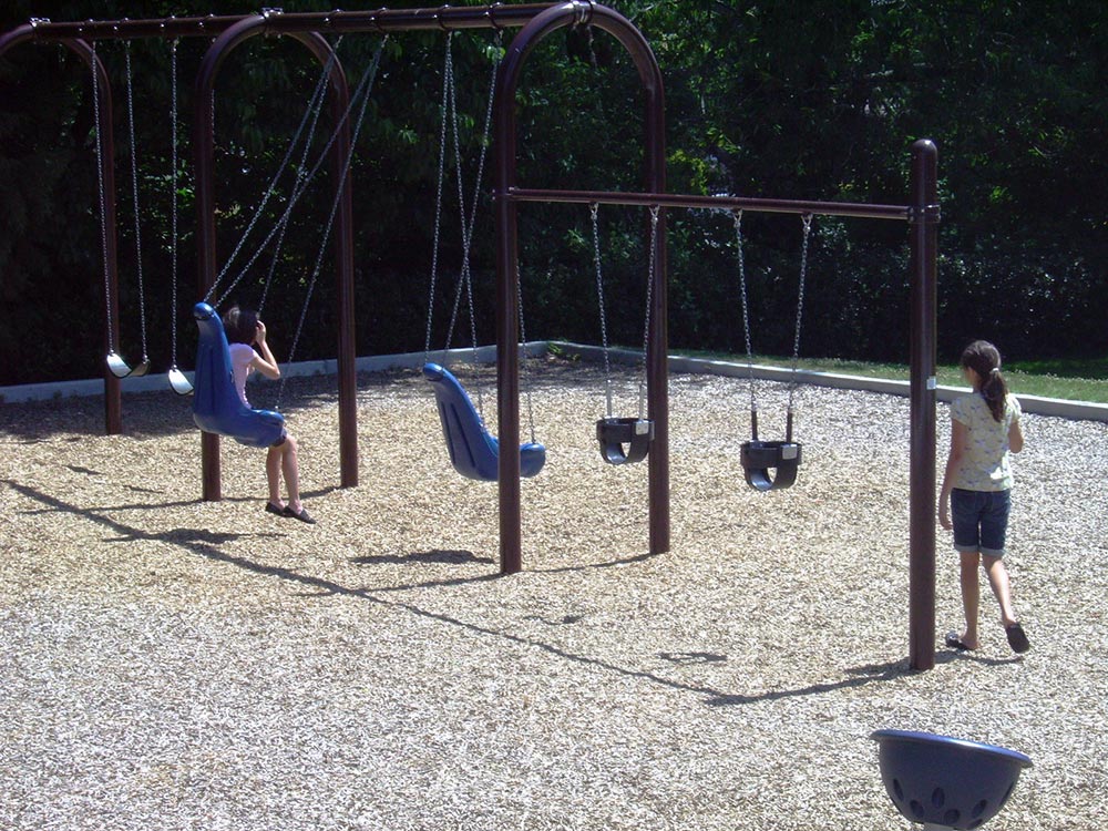 Ravenna Park swings