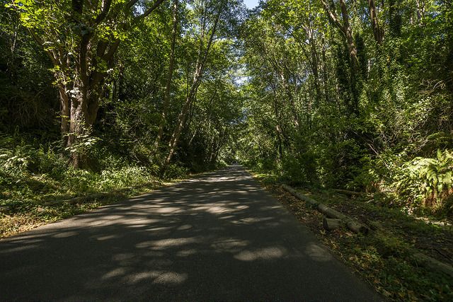 Seola Park pathway